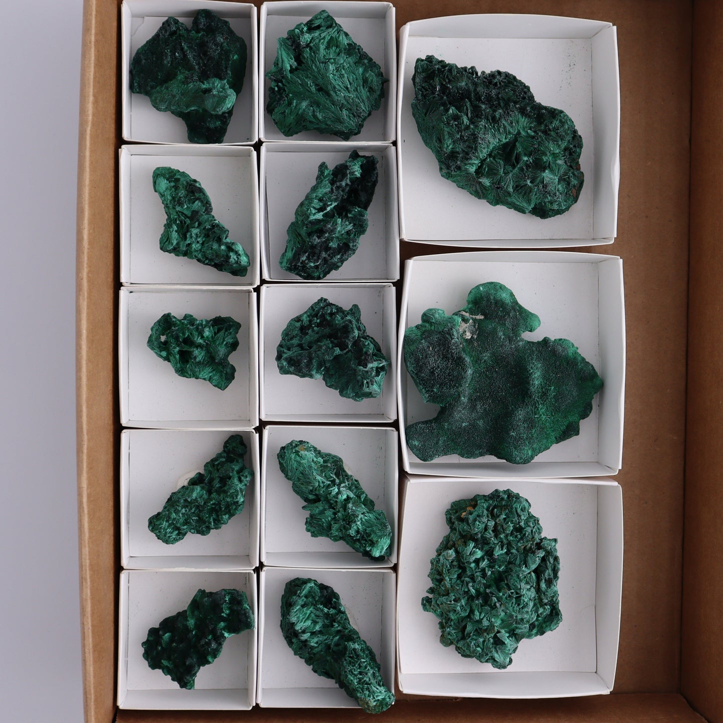 Malachite Freeforms Set of 13 - Expert Wholesale and Supplier of Wholesale Crystals & Bulk Gemstones, ["Freeform","Malachite","South Africa"]