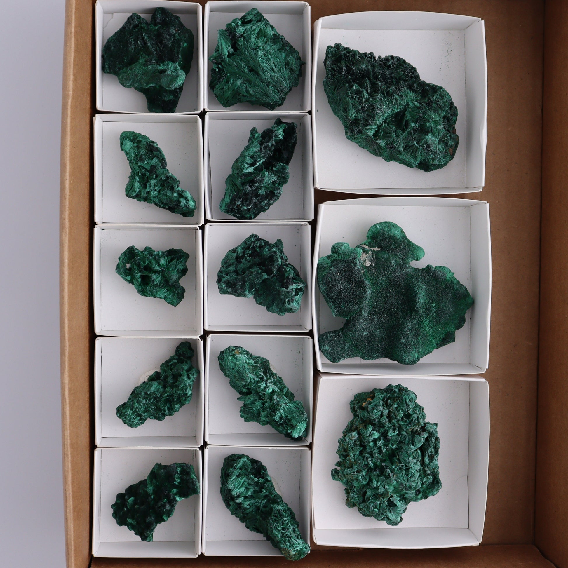 Malachite Freeforms Set of 13 - Expert Wholesale and Supplier of Wholesale Crystals & Bulk Gemstones, ["Freeform","Malachite","South Africa"]