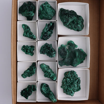 Malachite Freeforms Set of 13 - Expert Wholesale and Supplier of Wholesale Crystals & Bulk Gemstones, ["Freeform","Malachite","South Africa"]
