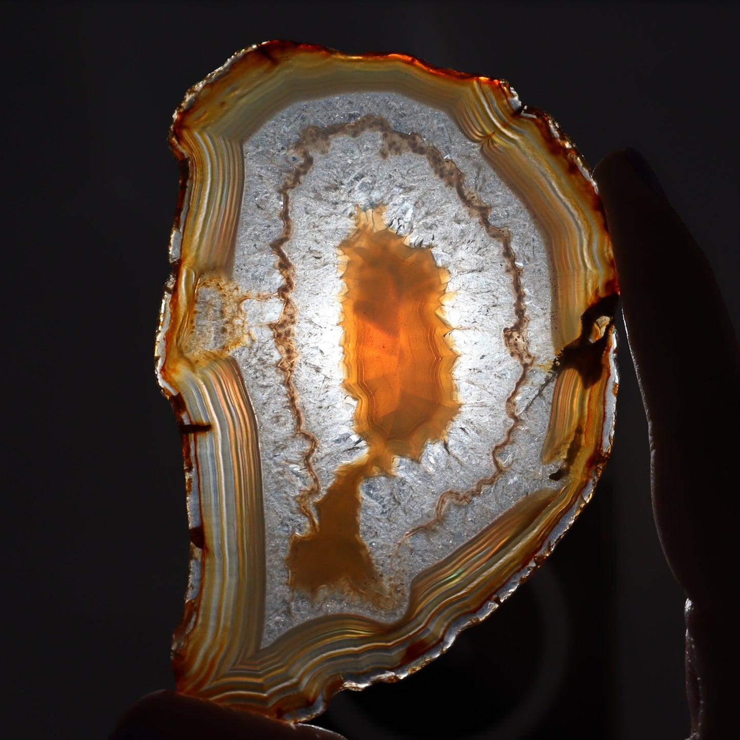 Iris Agate Slices Set of 6 - Expert Wholesale and Supplier of Wholesale Crystals & Bulk Gemstones, ["Agate","Iris Agate","Slices and Slabs"]