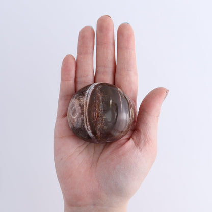 Petrified Wood Freeforms Set of 21