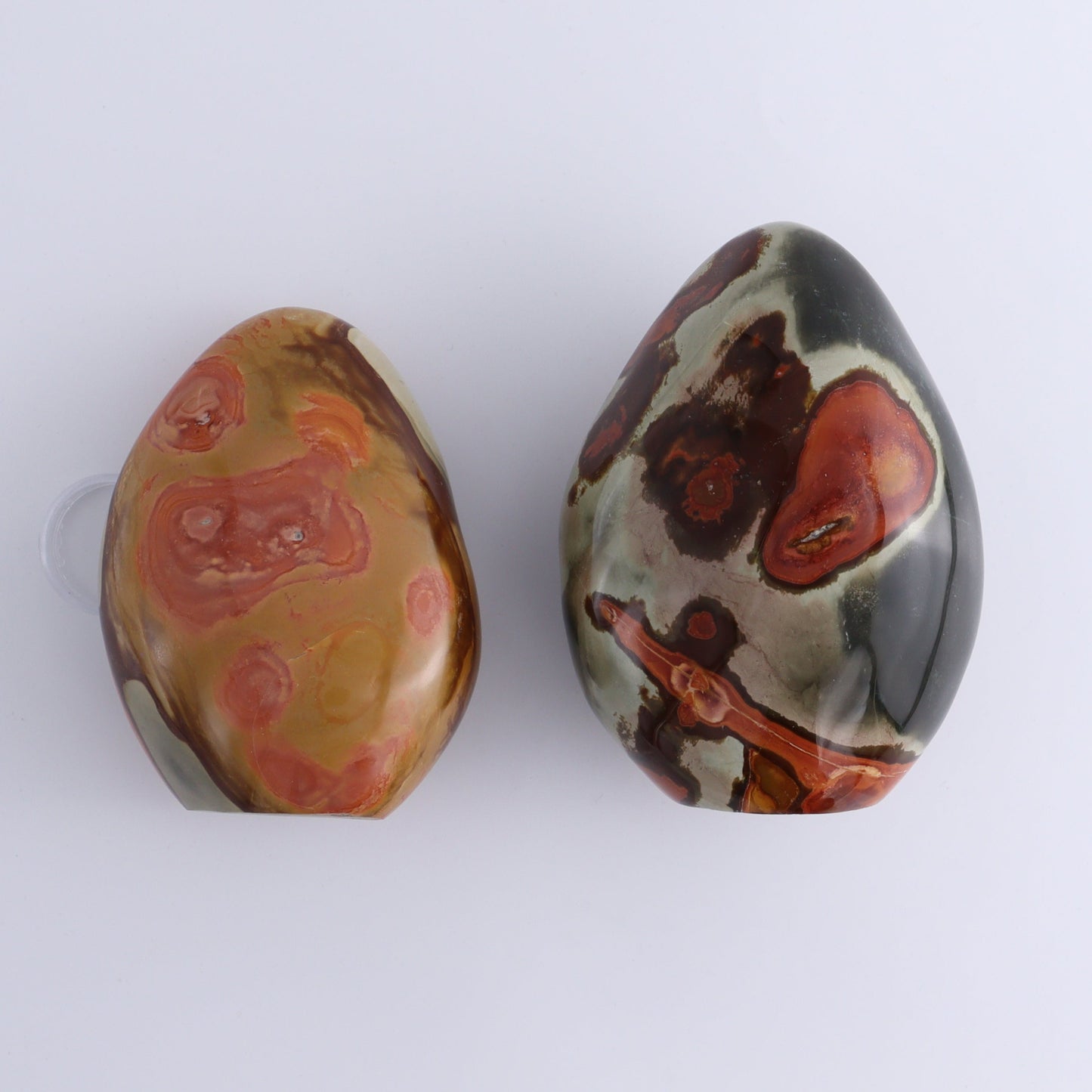 Polychrome Jasper Freeforms Set of 5 - Expert Wholesale and Supplier of Wholesale Crystals & Bulk Gemstones, ["jasper","Madagascar","Polychrome Jasper"]