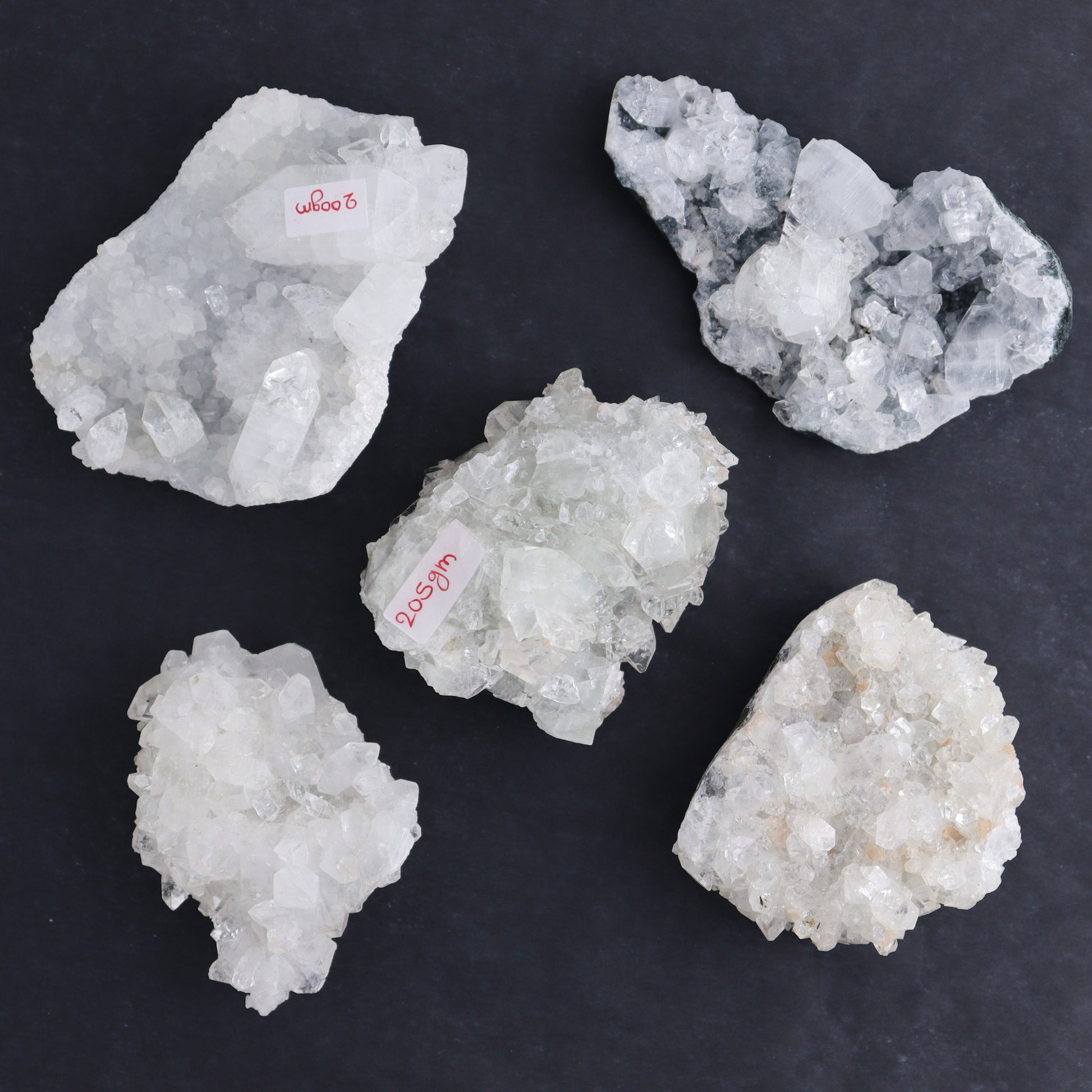 Apophyllite Clusters Flat of 12 - Expert Wholesale and Supplier of Wholesale Crystals & Bulk Gemstones, ["Apophyllite","Clusters","Flats"]