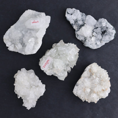 Apophyllite Clusters Flat of 12 - Expert Wholesale and Supplier of Wholesale Crystals & Bulk Gemstones, ["Apophyllite","Clusters","Flats"]