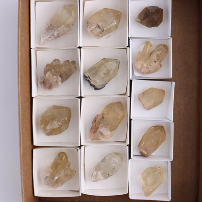 Congo Citrine Set of 12 - Expert Wholesale and Supplier of Wholesale Crystals & Bulk Gemstones, ["Citrine","Congo","Rough","Roughs"]