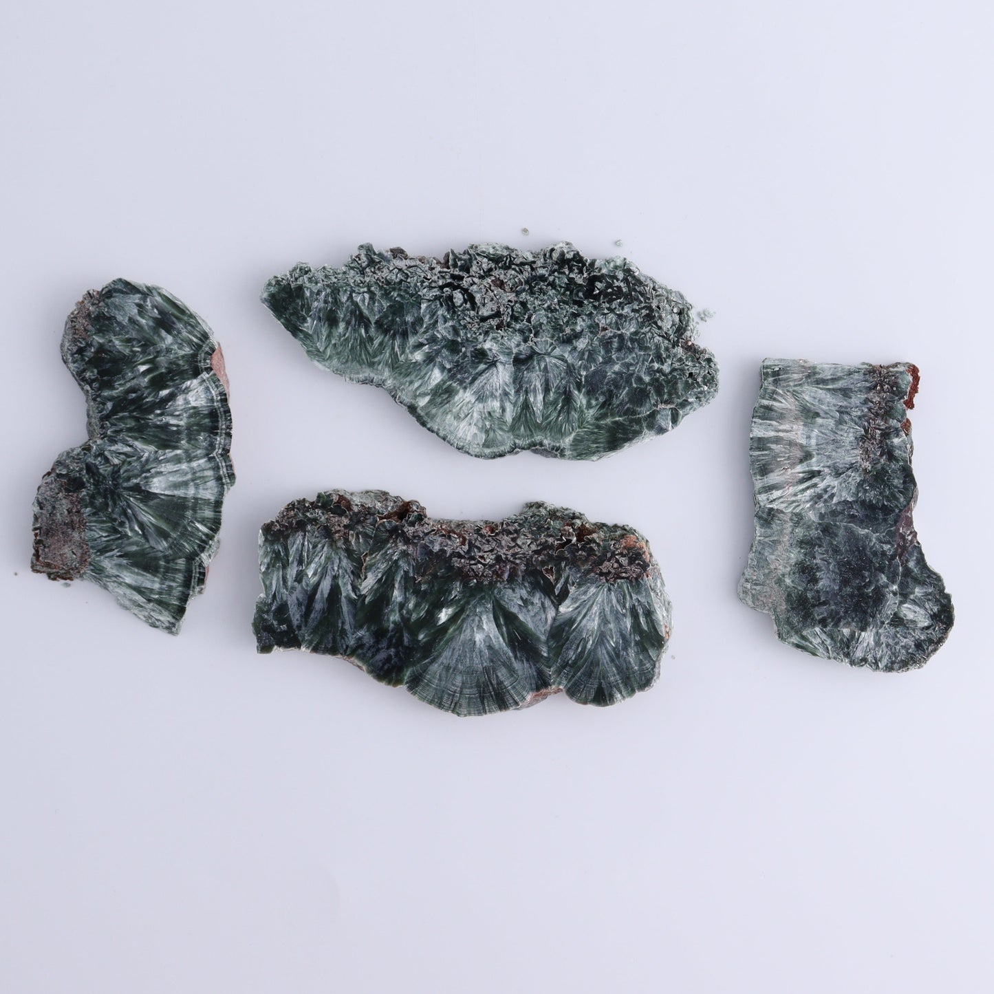 Seraphinite Slices Set of 12 - Expert Wholesale and Supplier of Wholesale Crystals & Bulk Gemstones, ["Russia","Seraphinite","Slices and Slabs"]