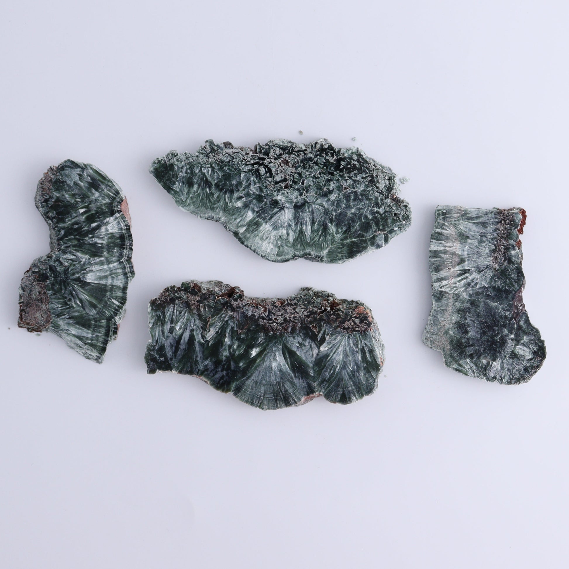 Seraphinite Slices Set of 12 - Expert Wholesale and Supplier of Wholesale Crystals & Bulk Gemstones, ["Russia","Seraphinite","Slices and Slabs"]