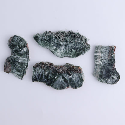 Seraphinite Slices Set of 12 - Expert Wholesale and Supplier of Wholesale Crystals & Bulk Gemstones, ["Russia","Seraphinite","Slices and Slabs"]