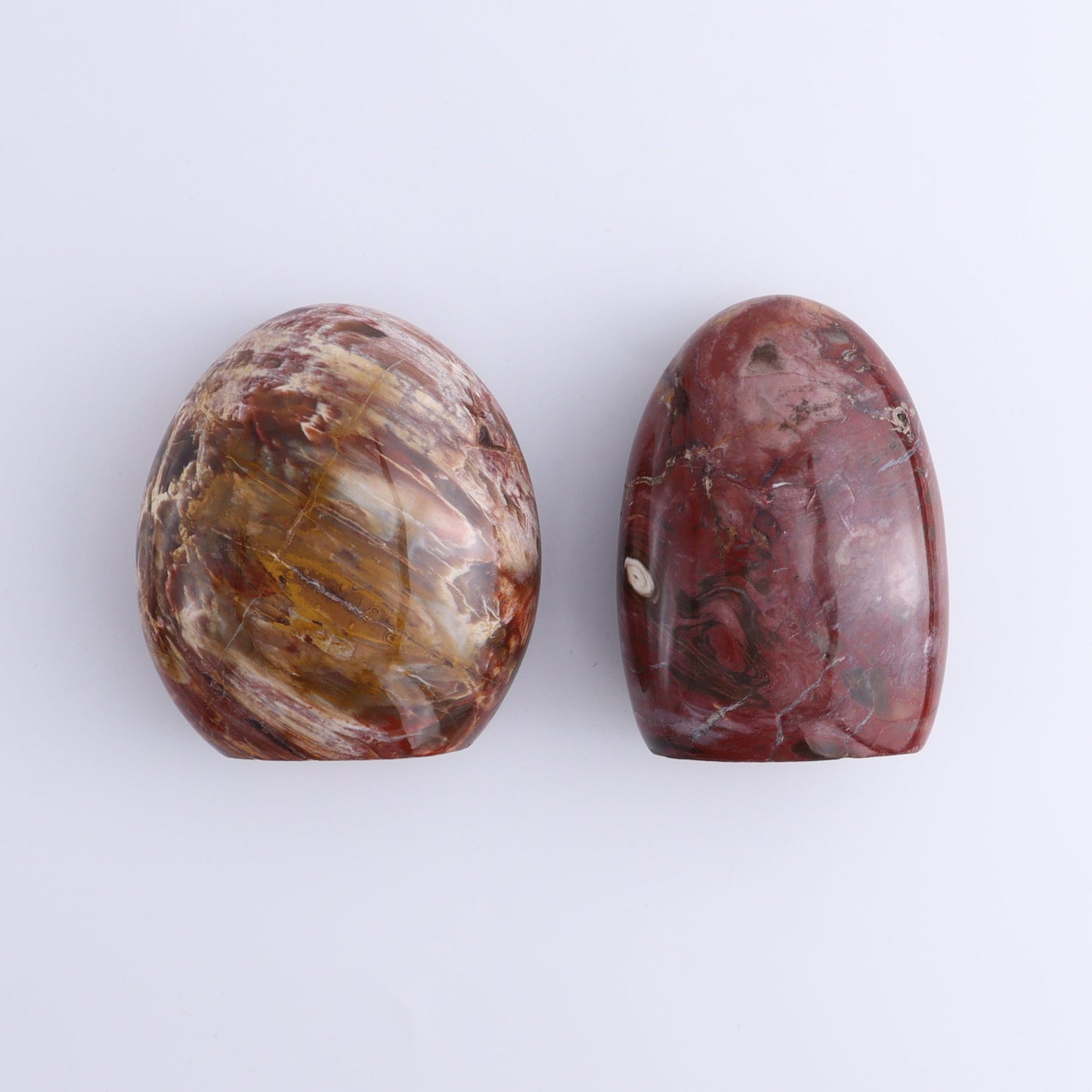 Petrified Wood Freeforms Set of 6 - Expert Wholesale and Supplier of Wholesale Crystals & Bulk Gemstones, ["Freeform","Freeforms","Madagascar","Petrified Wood"]
