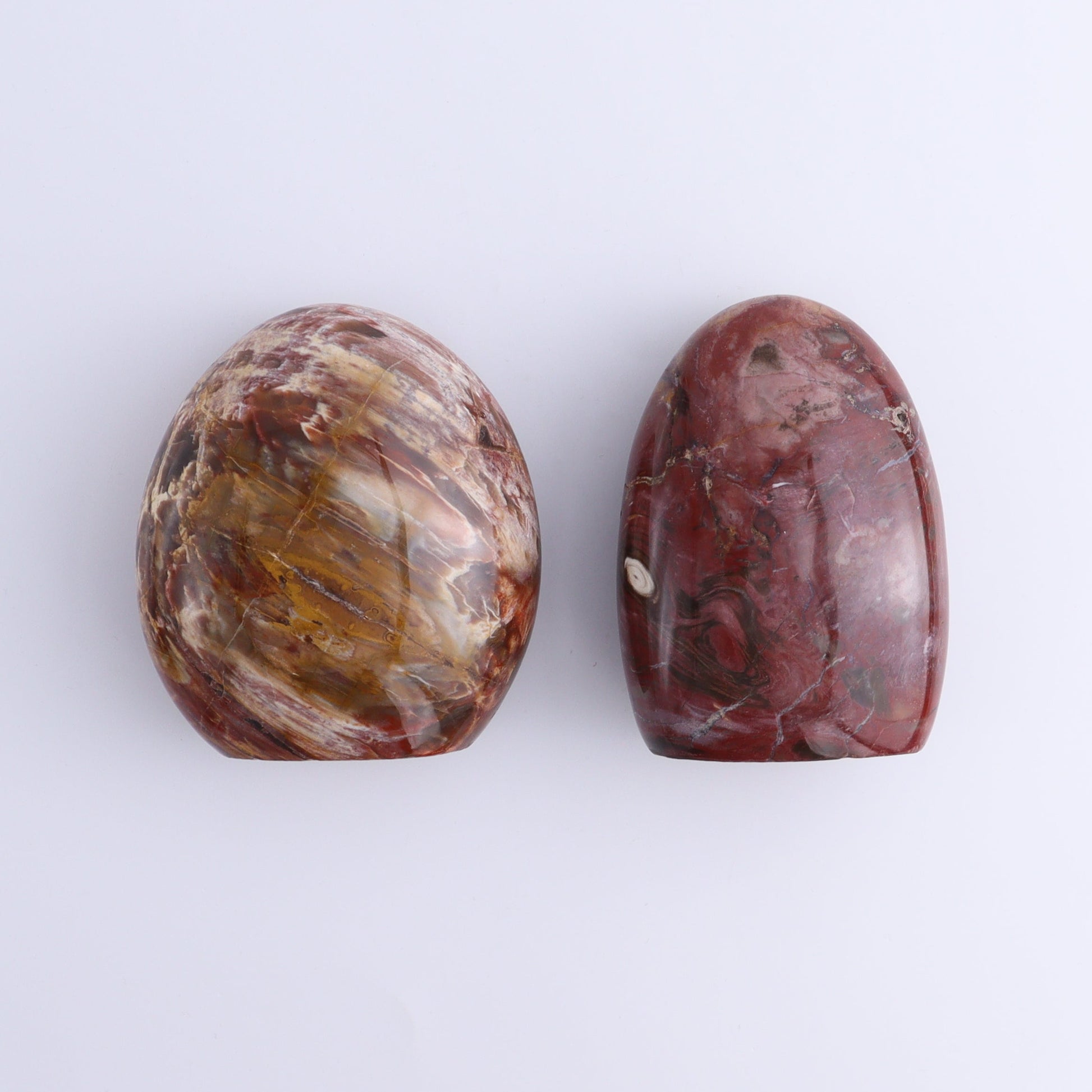 Petrified Wood Freeforms Set of 6 - Expert Wholesale and Supplier of Wholesale Crystals & Bulk Gemstones, ["Freeform","Freeforms","Madagascar","Petrified Wood"]