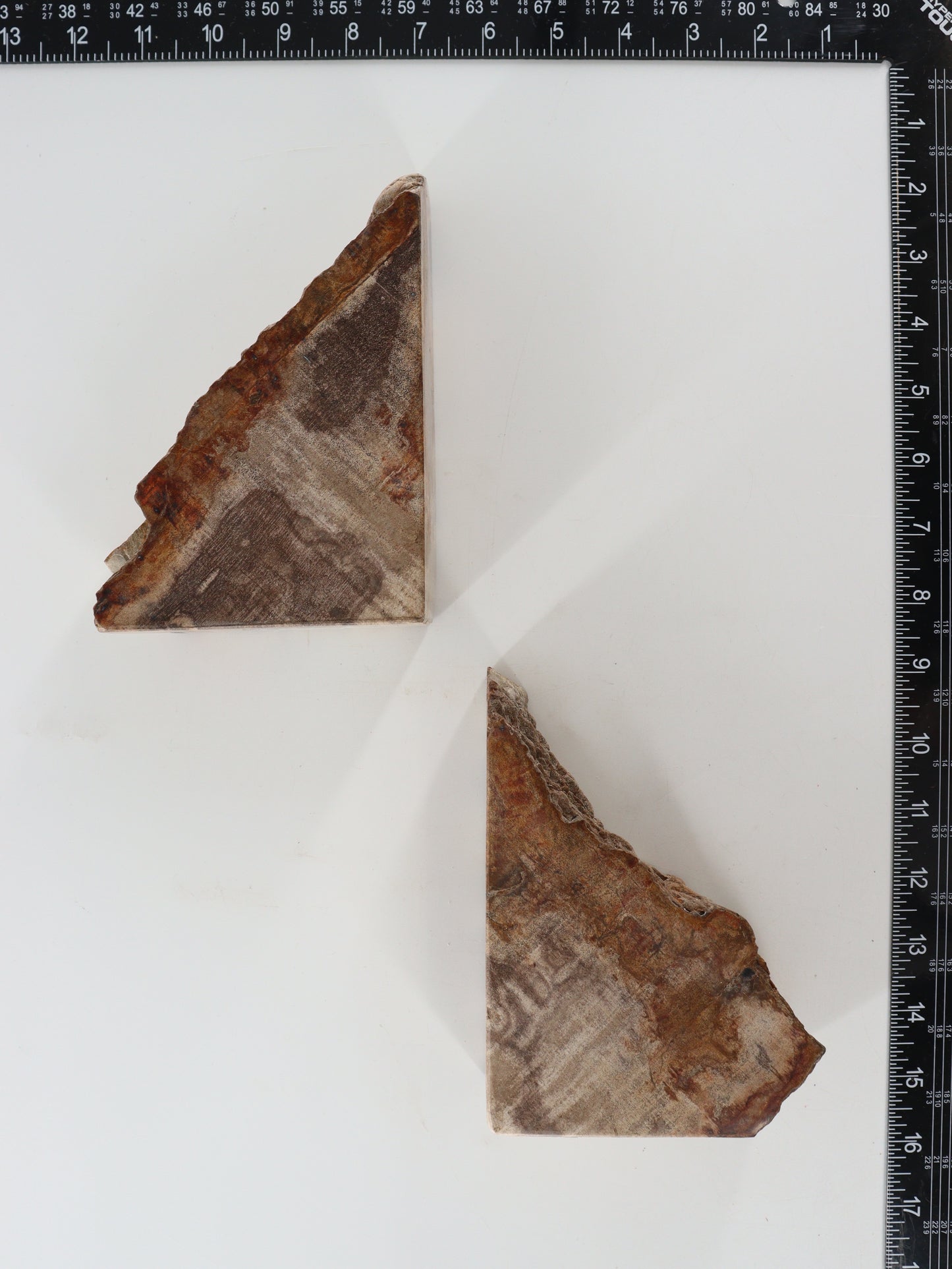 Petrified Wood Bookends - Expert Supplier of Wholesale Crystals & Bulk Gemstones