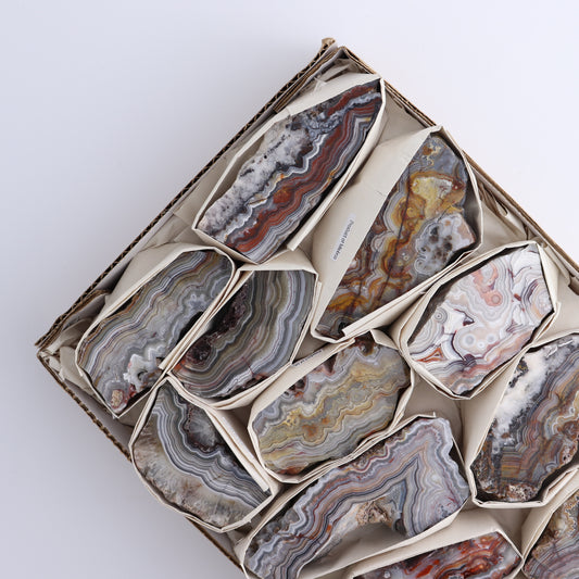 Crazy Lace Agate Flat of 12
