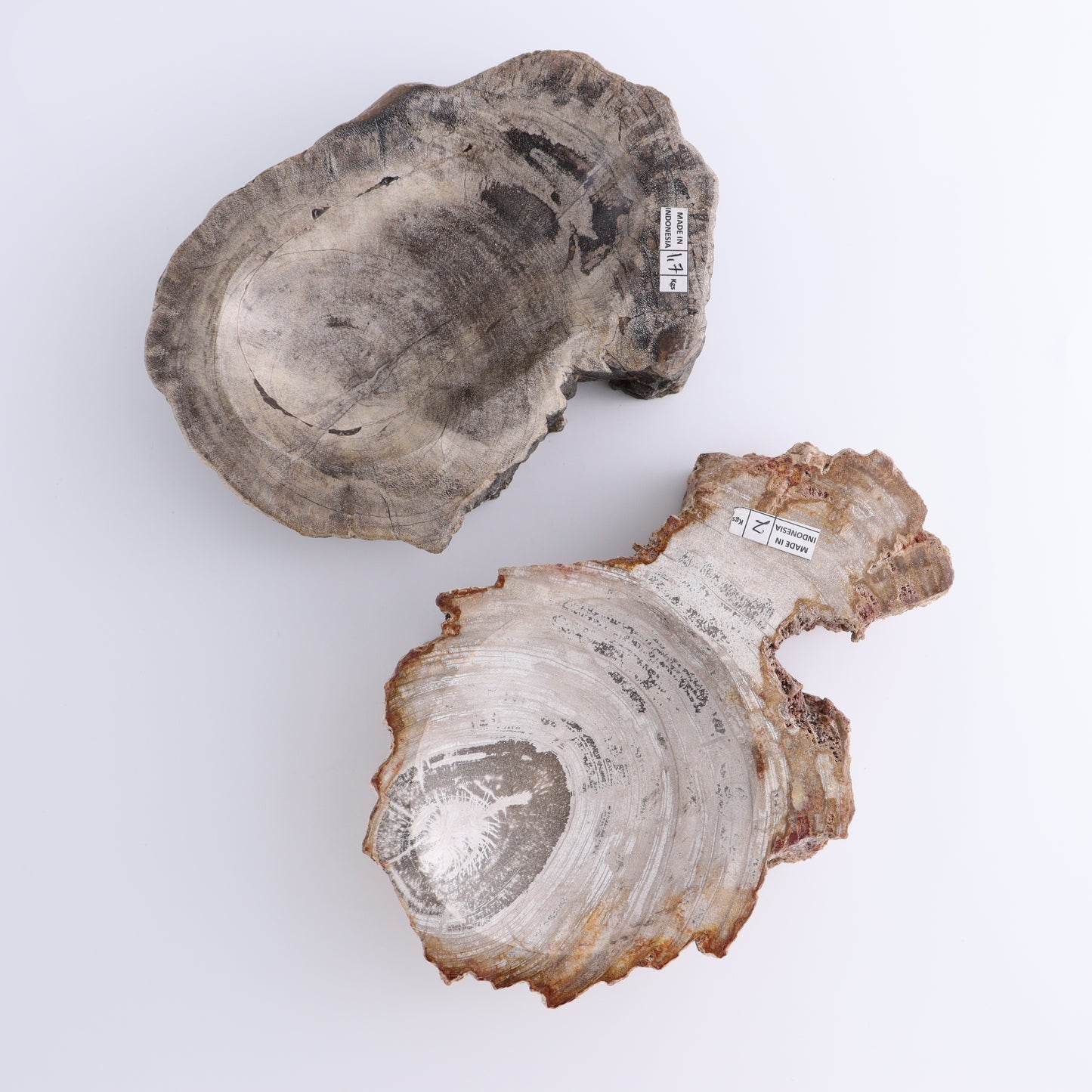 Petrified Wood Bowls Set of 2