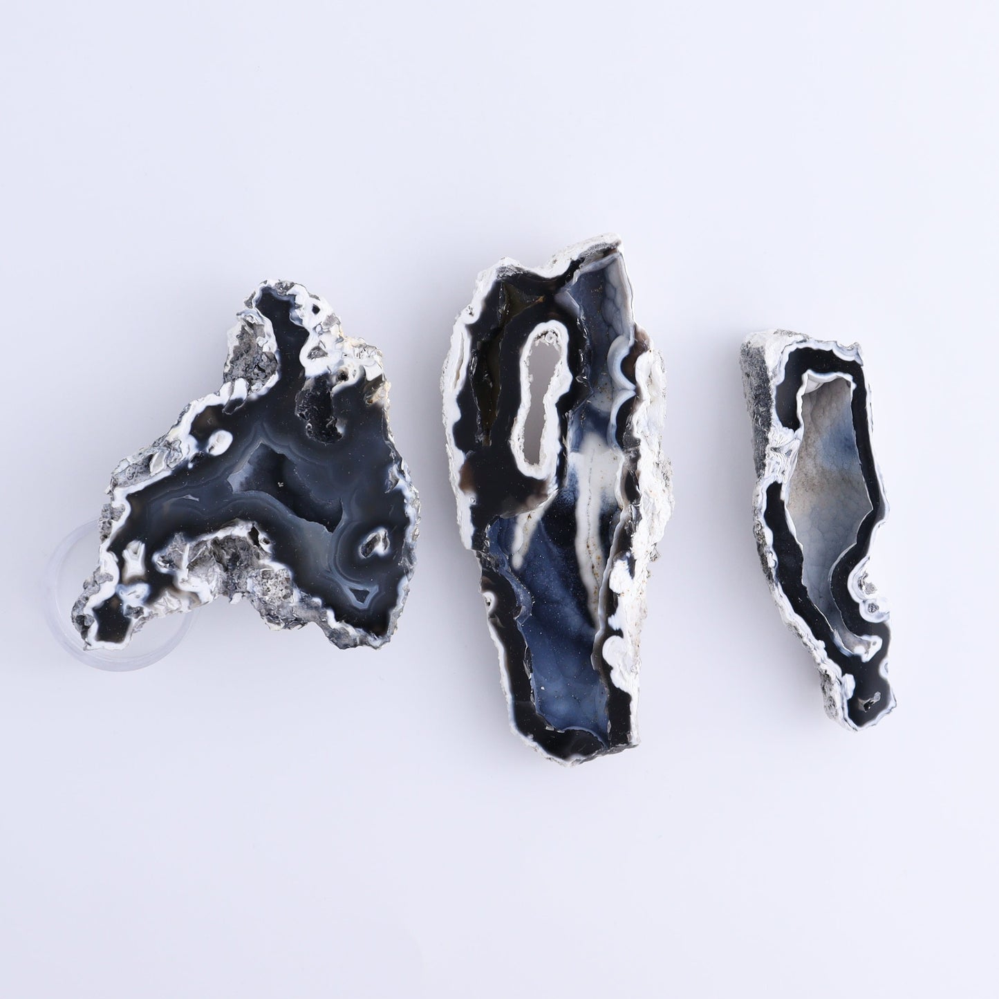 Agatized Coral Flat - Expert Wholesale and Supplier of Wholesale Crystals & Bulk Gemstones, ["Agate","Agatized Coral","Coral","United States"]