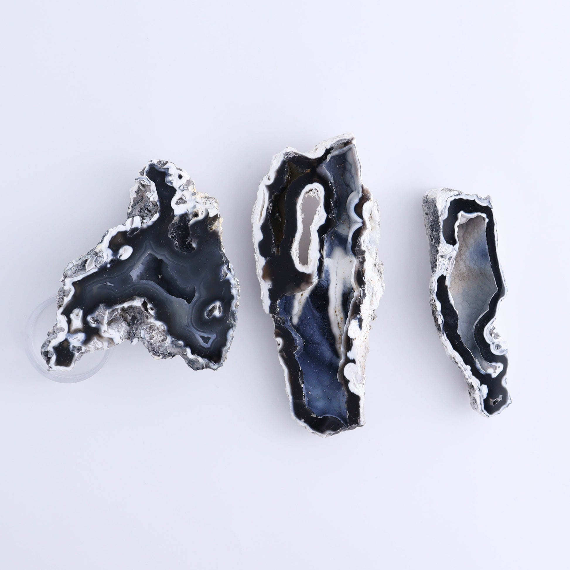 Agatized Coral Flat - Expert Wholesale and Supplier of Wholesale Crystals & Bulk Gemstones, ["Agate","Agatized Coral","Coral","United States"]