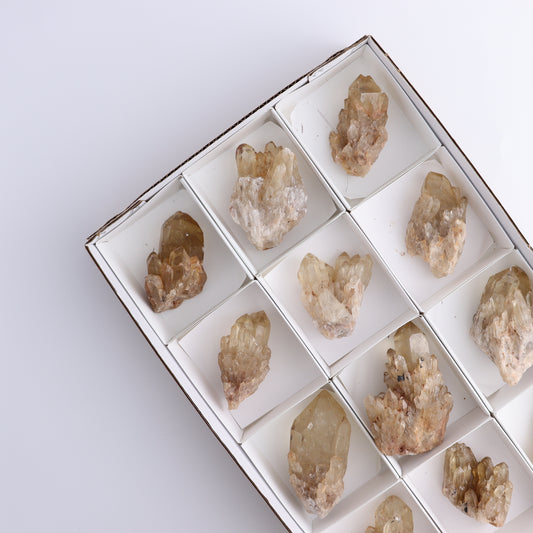 Congo Citrine Set of 12