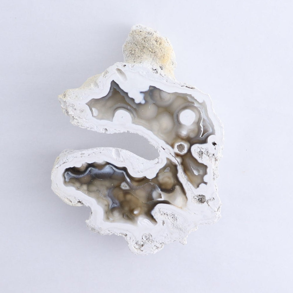 Agatized Coral Set of 3