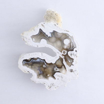Agatized Coral Set of 3
