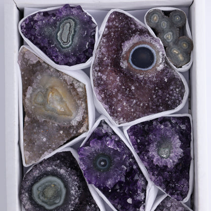 Uruguay Amethyst Clusters with "Eyes" Flat of 10 - Expert Wholesale and Supplier of Wholesale Crystals & Bulk Gemstones, ["Amethyst","Clusters","Eyes Amethyst","Uruguay"]