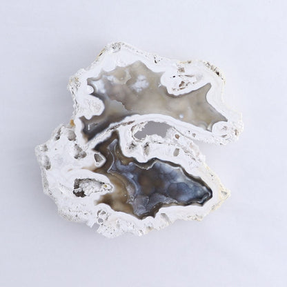 Agatized Coral Set of 3