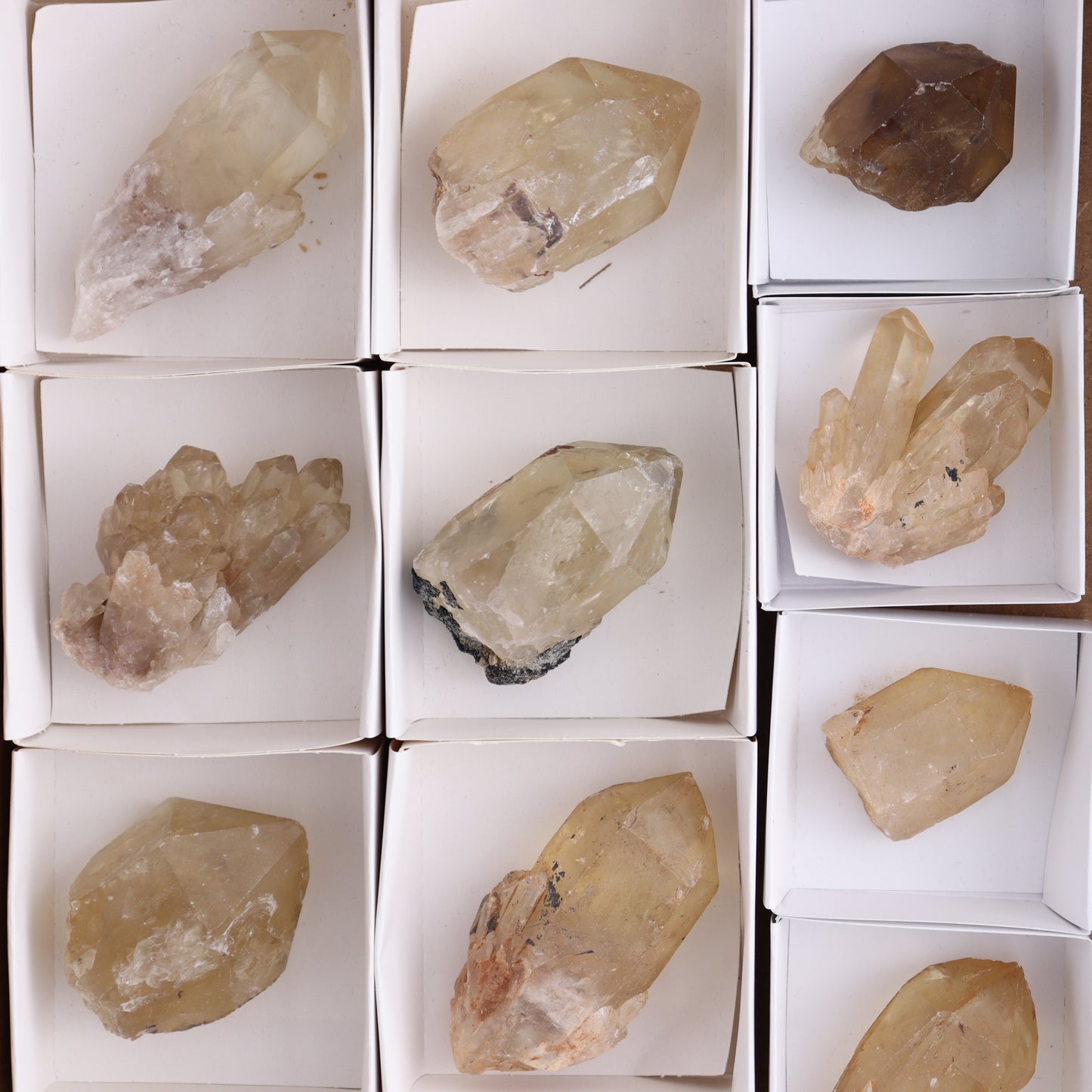 Congo Citrine Set of 12 - Expert Wholesale and Supplier of Wholesale Crystals & Bulk Gemstones, ["Citrine","Congo","Rough","Roughs"]