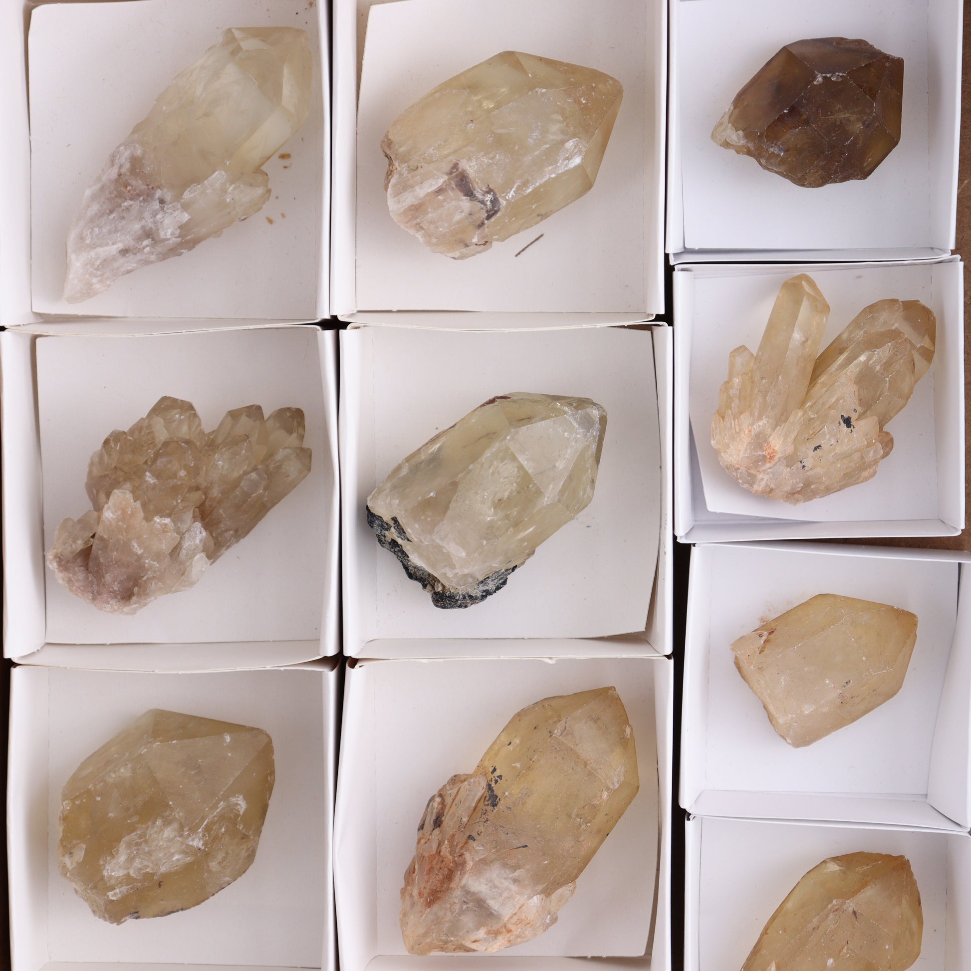 Congo Citrine Set of 12 - Expert Wholesale and Supplier of Wholesale Crystals & Bulk Gemstones, ["Citrine","Congo","Rough","Roughs"]