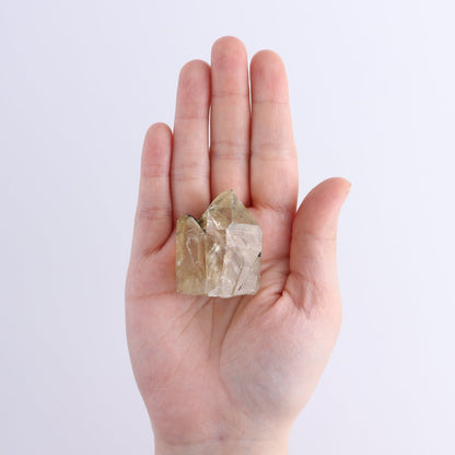 Congo Citrine Set of 24