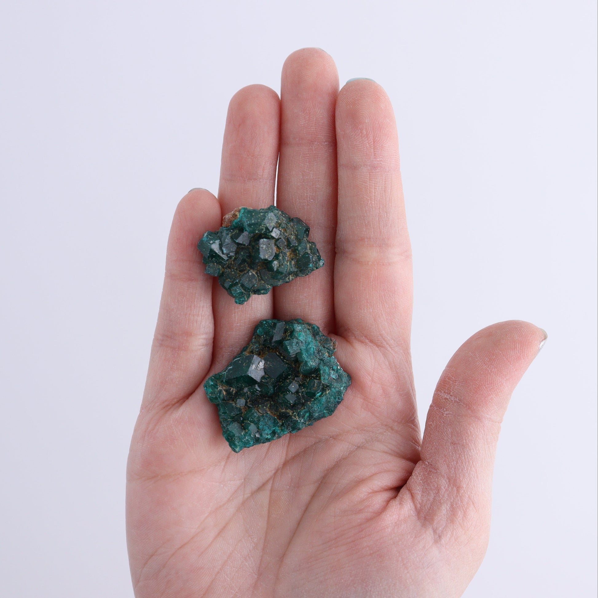 Dioptase Set of 15 - Expert Wholesale and Supplier of Wholesale Crystals & Bulk Gemstones, ["dioptase","Freeform","Freeforms"]