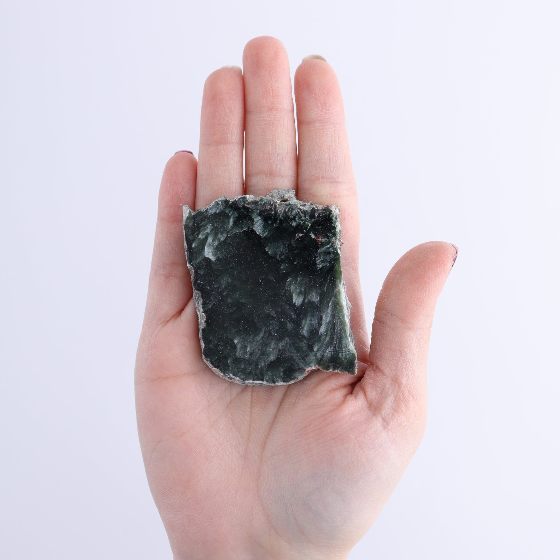 Seraphinite Slices Set of 12 - Expert Wholesale and Supplier of Wholesale Crystals & Bulk Gemstones, ["Russia","Seraphinite","Slices and Slabs"]