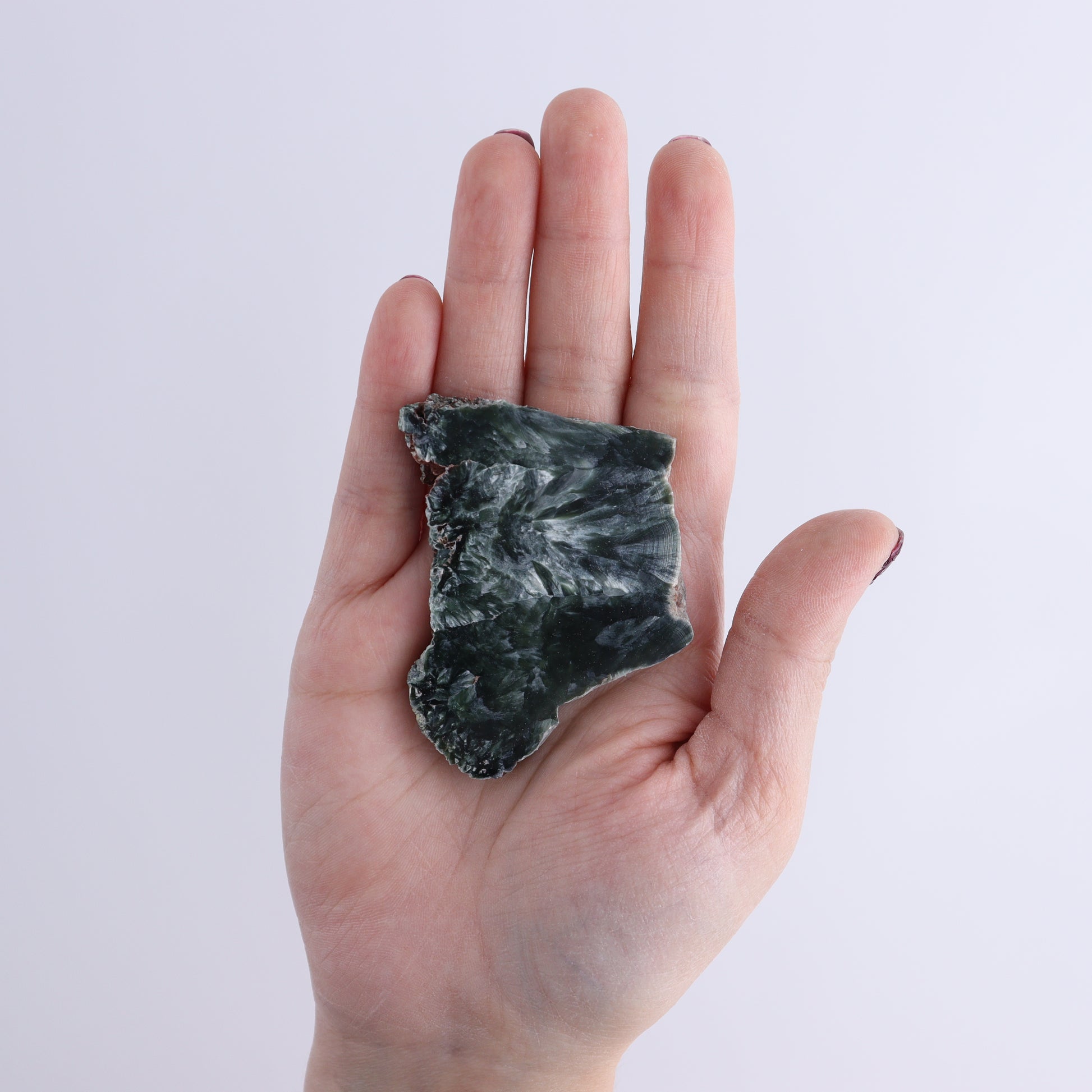 Seraphinite Slices Set of 12 - Expert Wholesale and Supplier of Wholesale Crystals & Bulk Gemstones, ["Russia","Seraphinite","Slices and Slabs"]