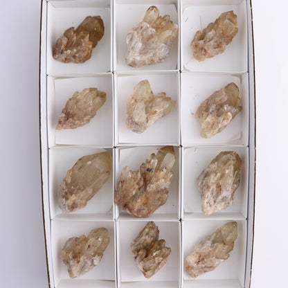 Congo Citrine Set of 12