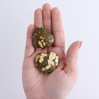 Ocean Jasper Hearts Set of 10