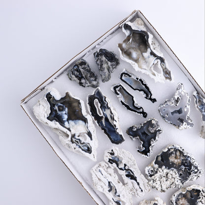Agatized Coral Flat - Expert Wholesale and Supplier of Wholesale Crystals & Bulk Gemstones, ["Agate","Agatized Coral","Coral","United States"]