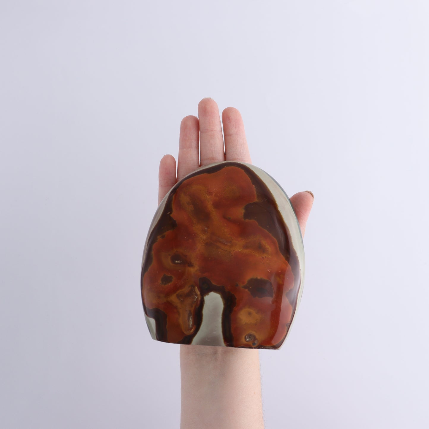 Polychrome Jasper Freeforms Set of 5 - Expert Wholesale and Supplier of Wholesale Crystals & Bulk Gemstones, ["jasper","Madagascar","Polychrome Jasper"]