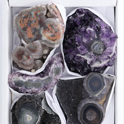 Uruguay Amethyst Clusters with "Eyes" Flat of 7 - Expert Wholesale and Supplier of Wholesale Crystals & Bulk Gemstones, ["Amethyst","Amethyst Eyes","Clusters","Uruguay"]