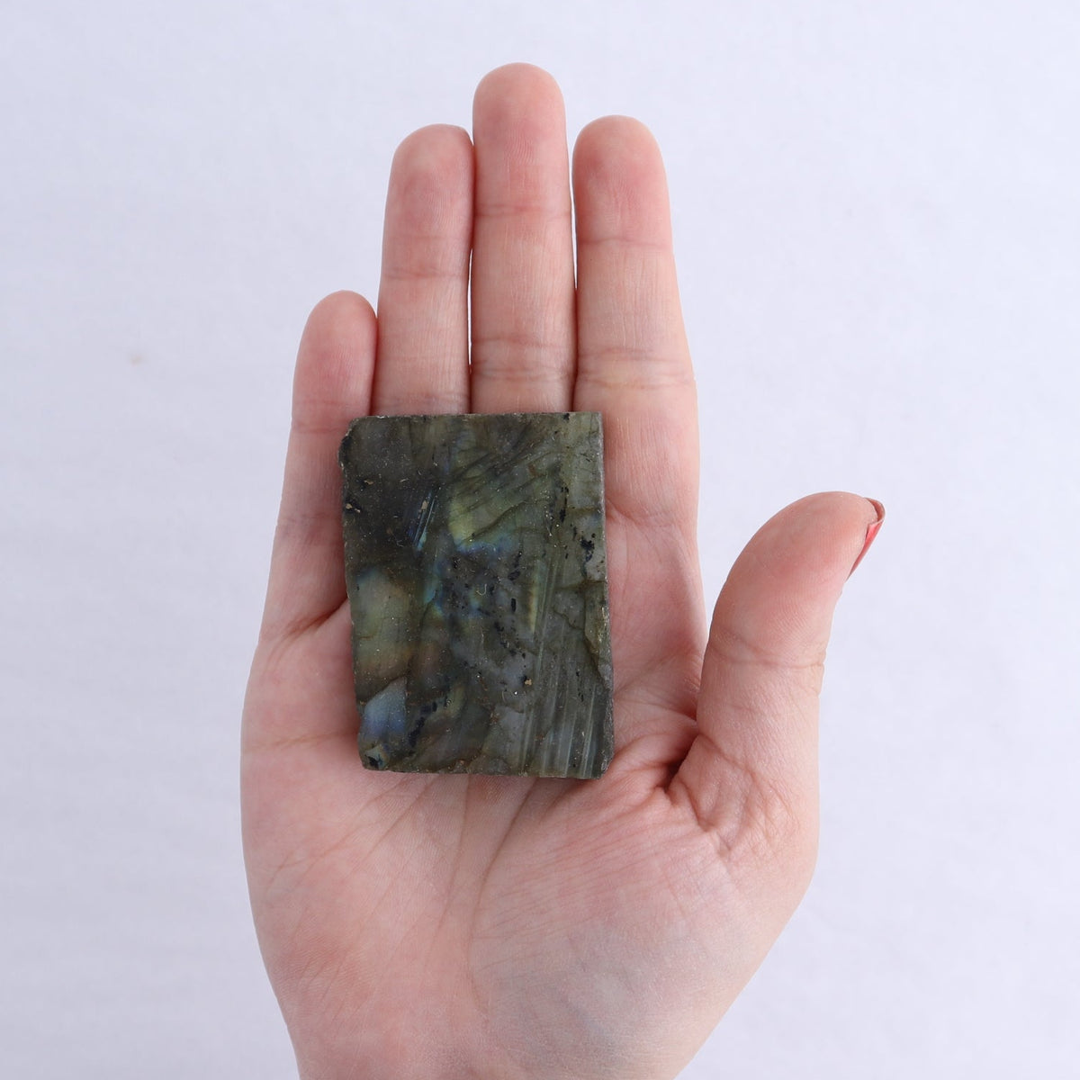 Labradorite Freeform Set of 21