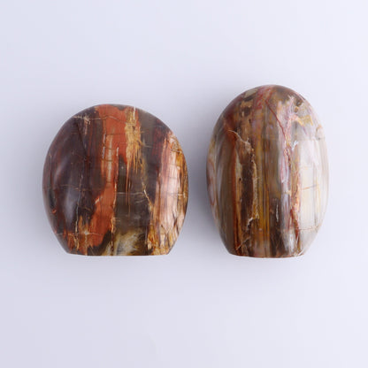 Petrified Wood Freeforms Set of 6 - Expert Wholesale and Supplier of Wholesale Crystals & Bulk Gemstones, ["Freeform","Freeforms","Madagascar","Petrified Wood"]
