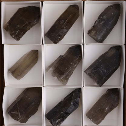 Smoky Quartz Polished Tops Set of 12 - Expert Wholesale and Supplier of Wholesale Crystals & Bulk Gemstones, ["Brazil","close_70","Points","Quartz","Smoky Quartz"]