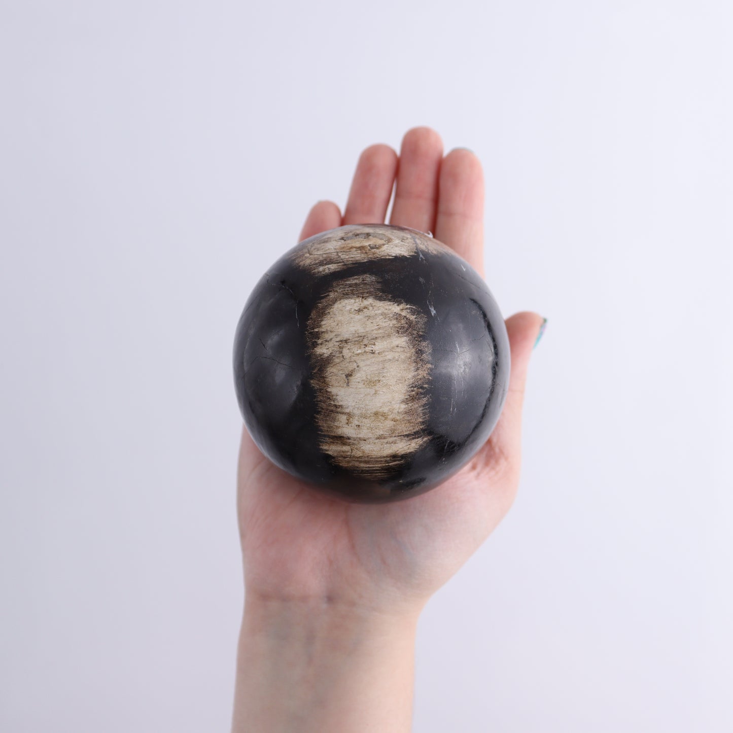 Petrified Wood Spheres Set of 4 - Expert Wholesale and Supplier of Wholesale Crystals & Bulk Gemstones, ["Indonesia","Petrified Wood","Spheres"]