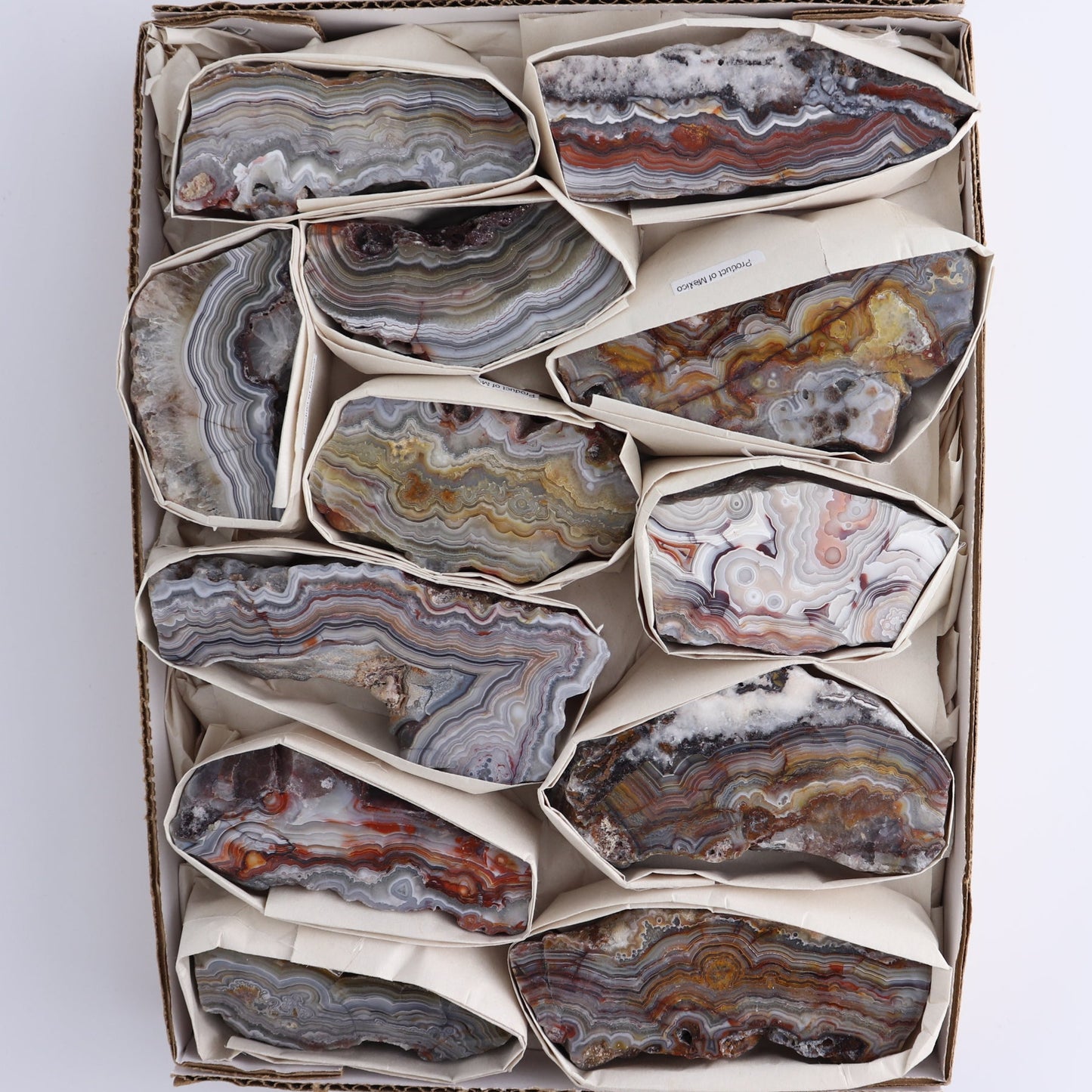 Crazy Lace Agate Flat of 12
