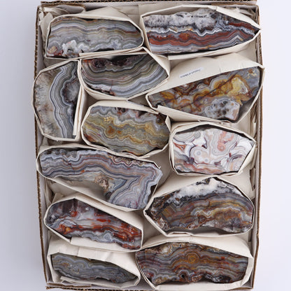 Crazy Lace Agate Flat of 12
