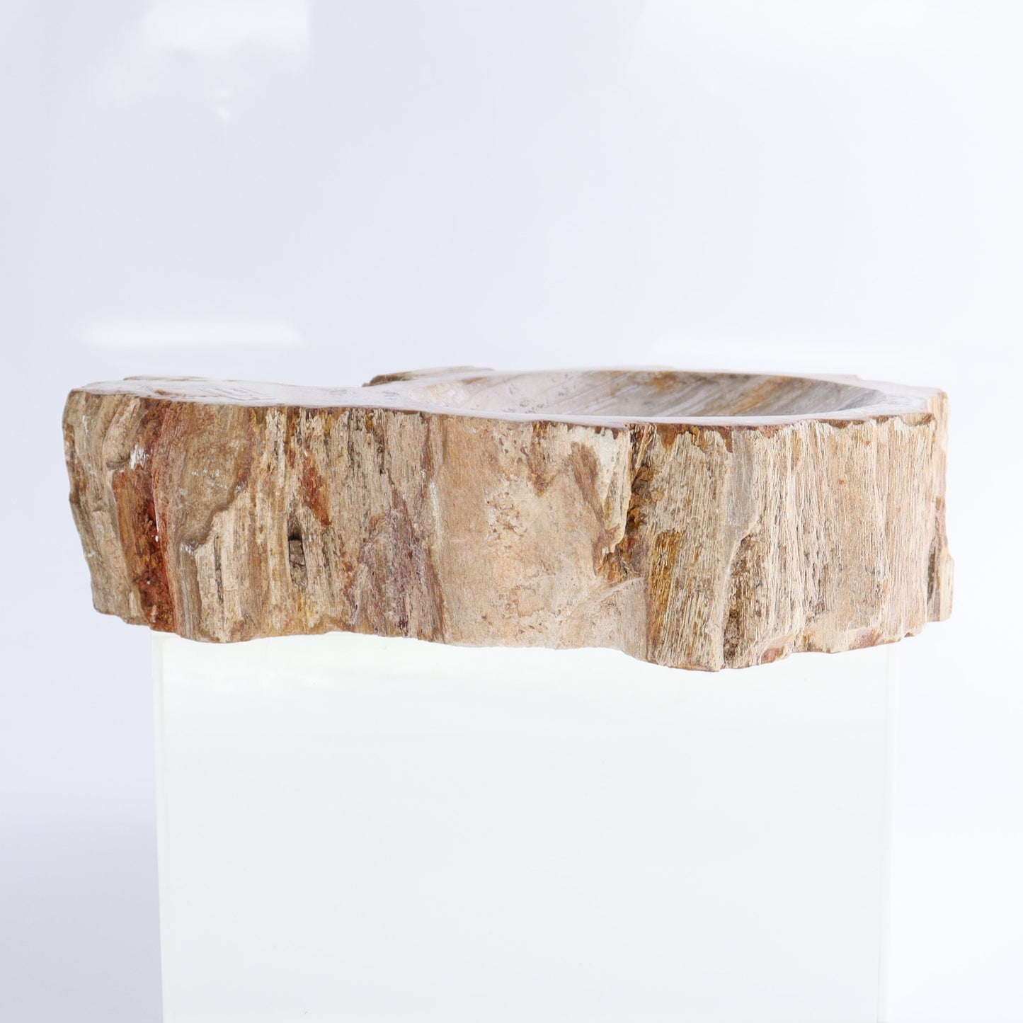 Petrified Wood Bowls Set of 2