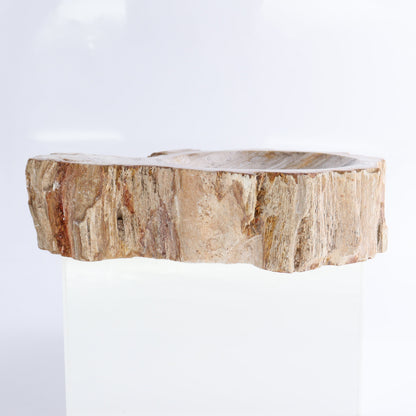 Petrified Wood Bowls Set of 2