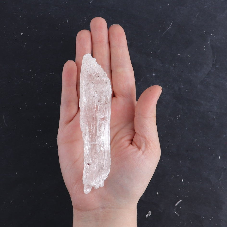 Selenite from Chihuahua Set of 8