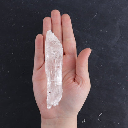 Selenite from Chihuahua Set of 8