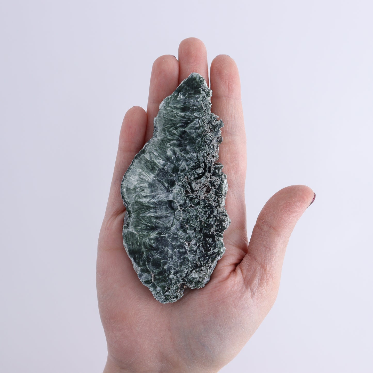 Seraphinite Slices Set of 12 - Expert Wholesale and Supplier of Wholesale Crystals & Bulk Gemstones, ["Russia","Seraphinite","Slices and Slabs"]