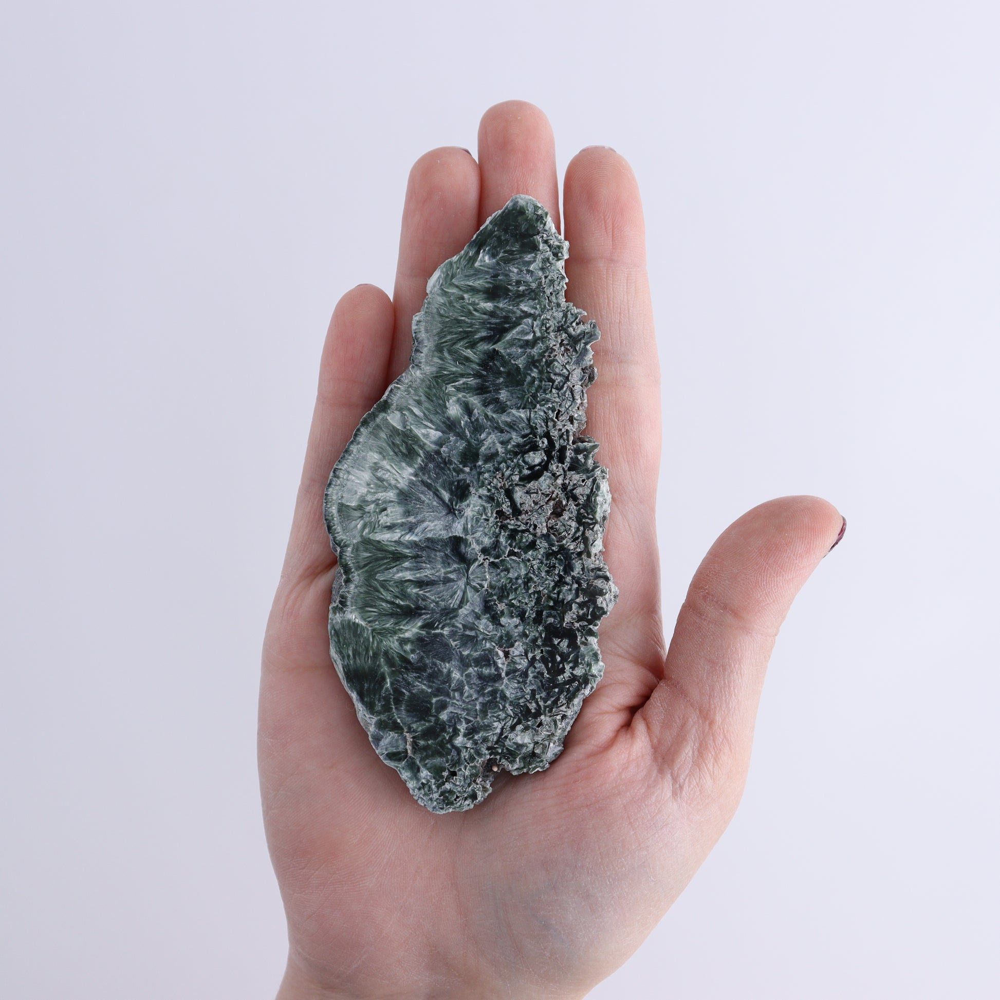 Seraphinite Slices Set of 12 - Expert Wholesale and Supplier of Wholesale Crystals & Bulk Gemstones, ["Russia","Seraphinite","Slices and Slabs"]