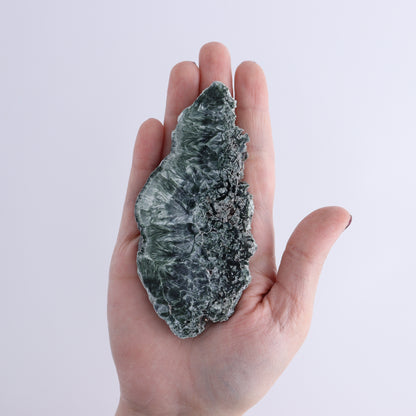 Seraphinite Slices Set of 12 - Expert Wholesale and Supplier of Wholesale Crystals & Bulk Gemstones, ["Russia","Seraphinite","Slices and Slabs"]