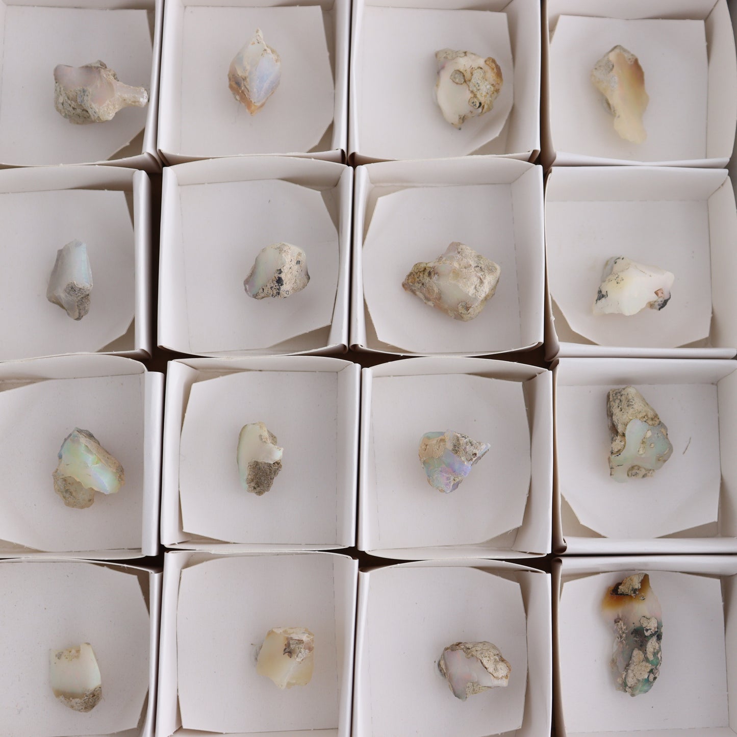 Ethiopian Opal Set of 24 - Expert Wholesale and Supplier of Wholesale Crystals & Bulk Gemstones, ["Ethiopia","ethiopian opal","Opal"]