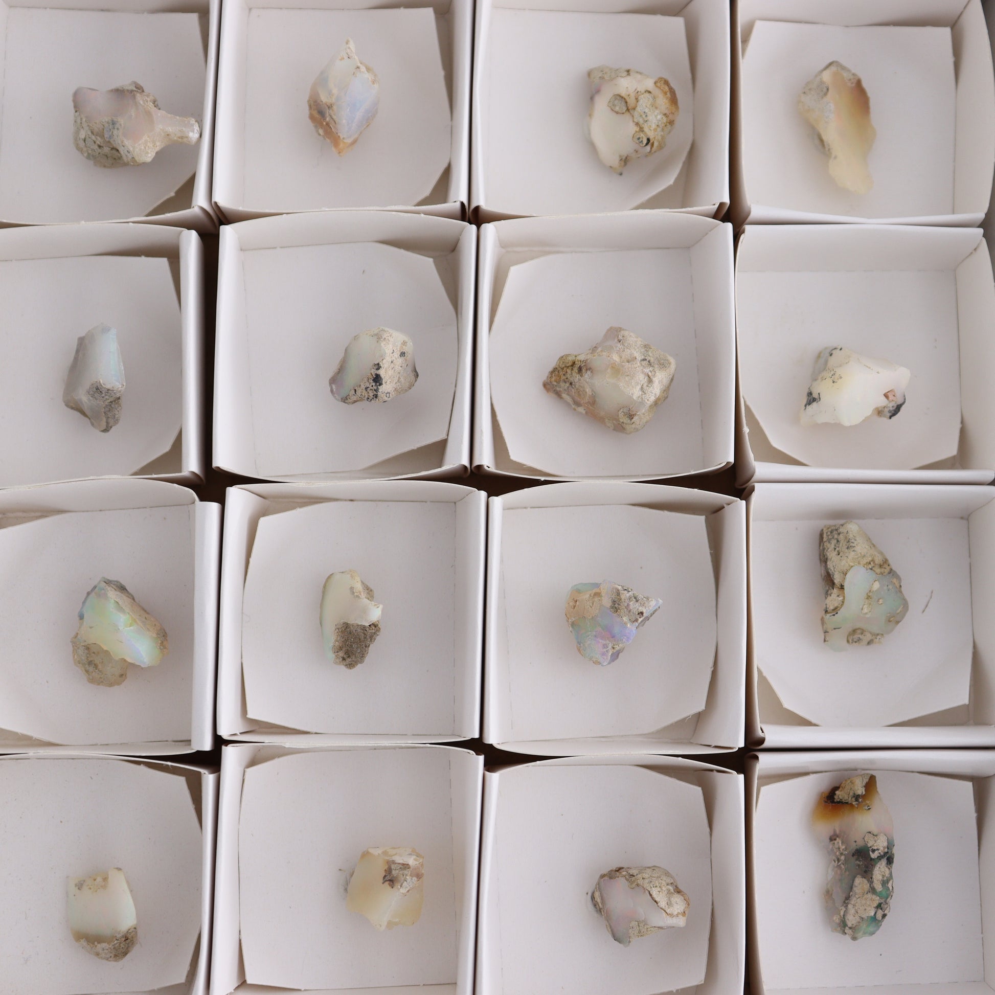 Ethiopian Opal Set of 24 - Expert Wholesale and Supplier of Wholesale Crystals & Bulk Gemstones, ["Ethiopia","ethiopian opal","Opal"]